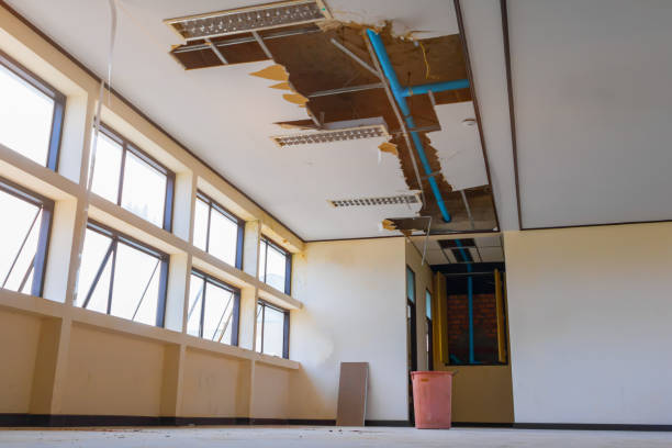 Best Water damage contractors near me  in Vicksburg, MS
