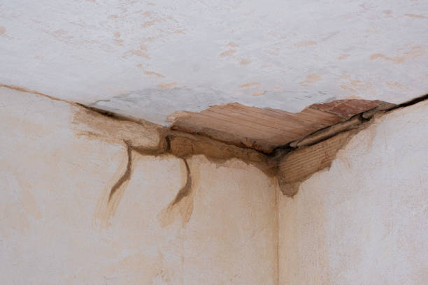 Best Water damage restoration specialists  in Vicksburg, MS