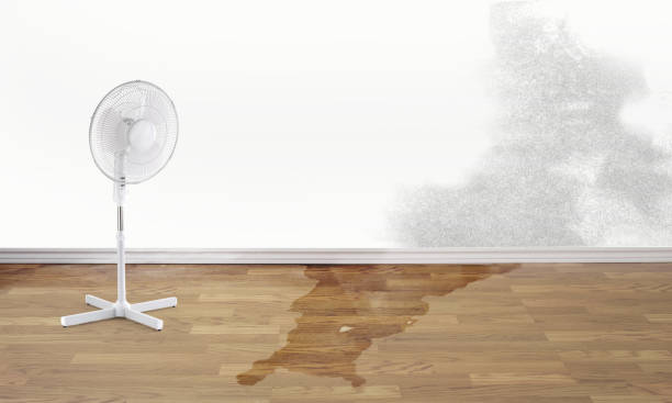 Best 24/7 water damage repair  in Vicksburg, MS
