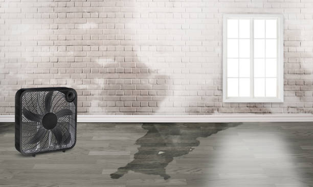 Best Water damage restoration near me  in Vicksburg, MS