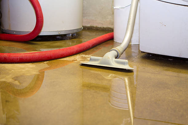 Best Flood damage cleanup  in Vicksburg, MS