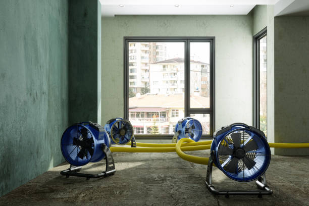 Best Water damage restoration services  in Vicksburg, MS